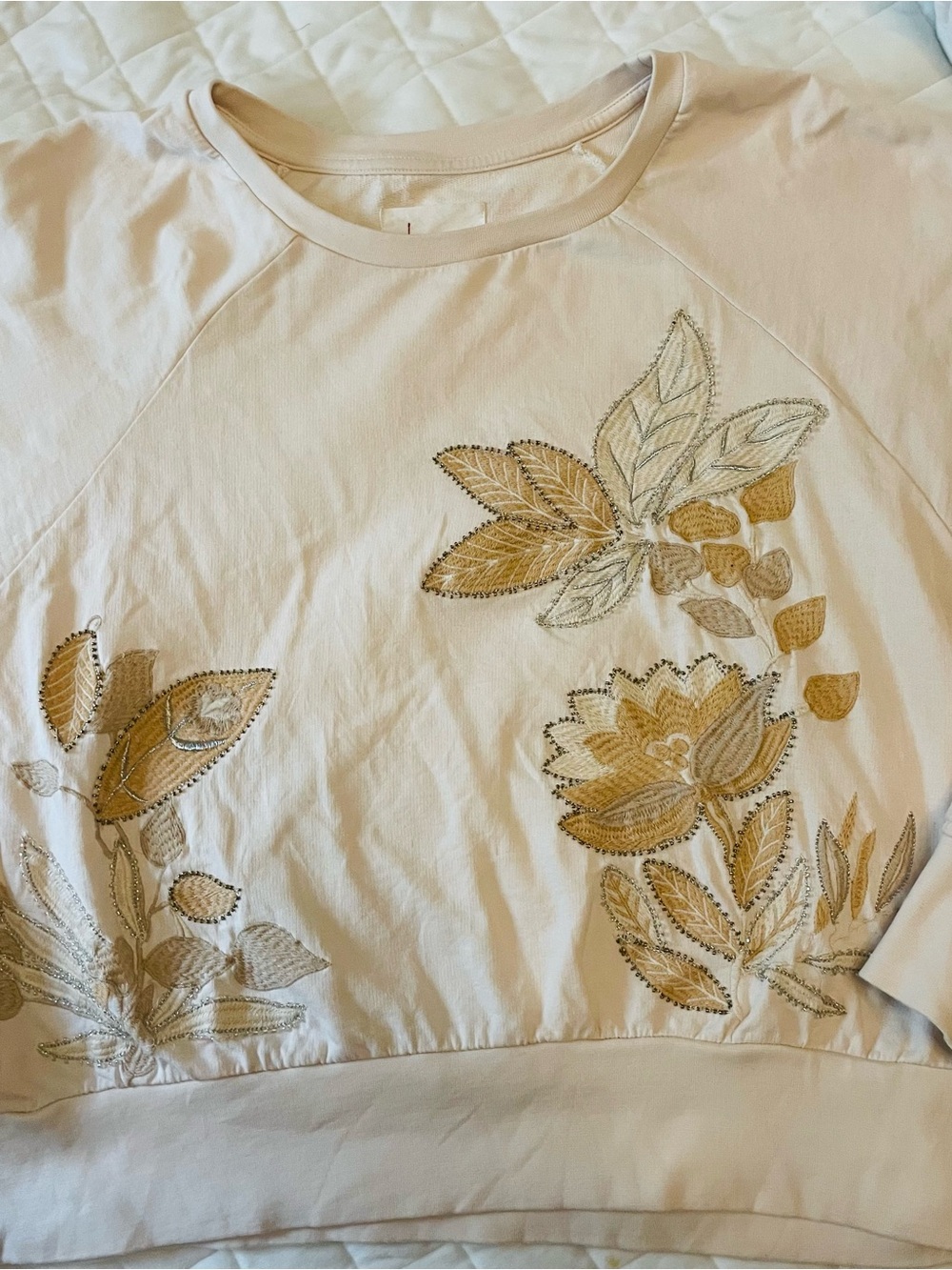 Women’s Anthropology Cream Floral Embroidered Top